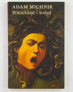 Wściekłość i wstyd, Michnik A.