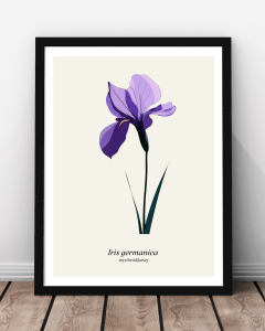 Plakat "Irys"