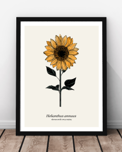Plakat "Słonecznik"