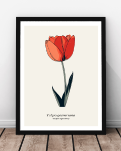 Plakat "Tulipan"