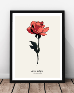 Plakat "Róża"