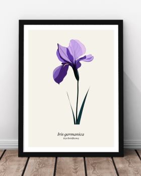 Plakat, Irys, kwiat