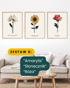 Zestaw 8